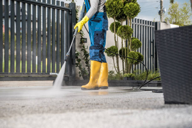 Animal Enclosure Cleaning in Eucalyptus Hills, CA